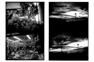 写真家・森山大道の展覧会「Artglorieux GALLERY(銀座)」で - NYで撮影したシリーズを再解釈し展示